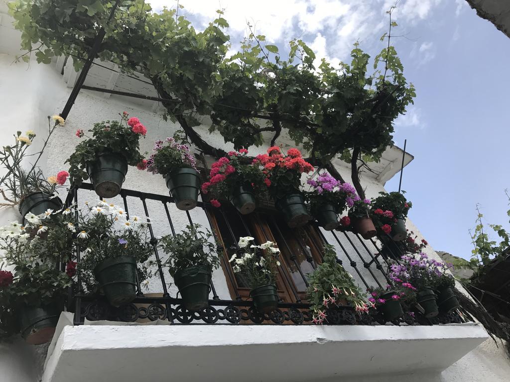 Appartamento La Ermita del Poqueira Bubión Esterno foto